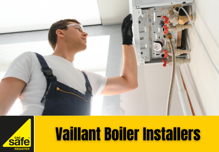Vaillant boiler installers Ashford
